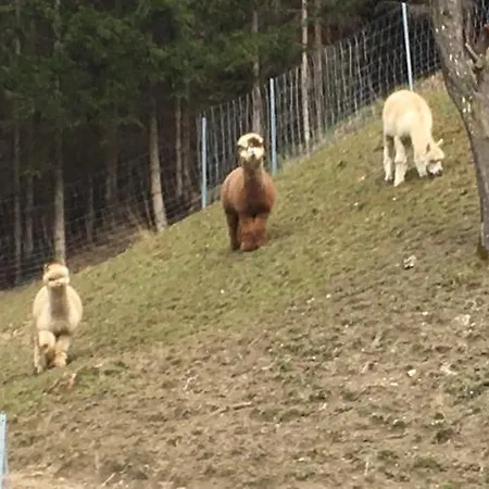 度假居 Doerrmuehle *