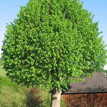 Doerrmuehle 度假居 *