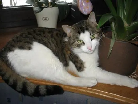 Holiday home Doerrmuehle