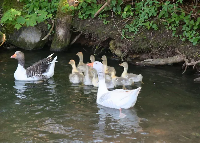 Holiday home Doerrmuehle