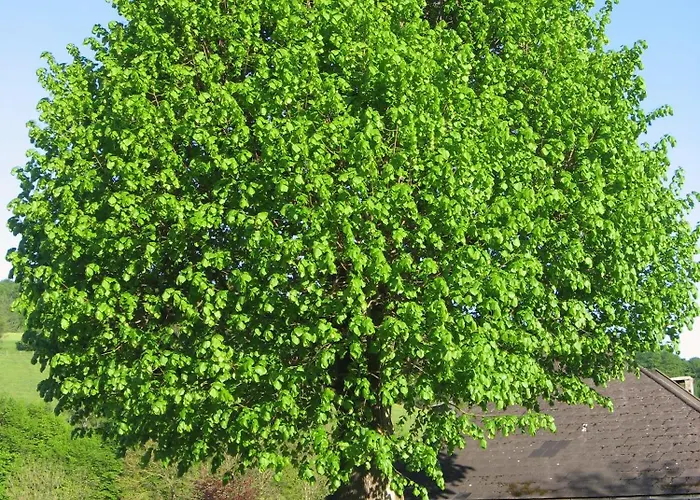 Doerrmuehle Holiday home *